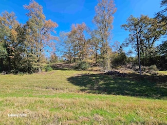 16424 State Highway 155, Winona, TX 75792