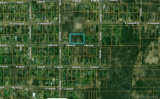 210 E Birch St, Ironwood, MI 49938