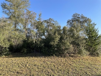 TBD SW 168th Loop, Ocala, FL 34473