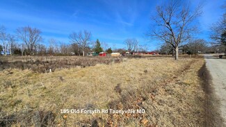 185 Old Forsyth Rd, Taneyville, MO 65759