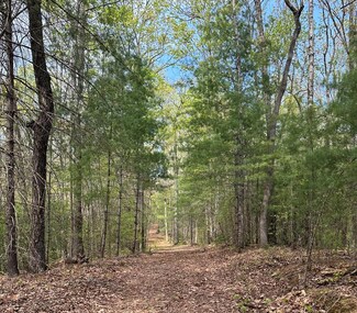 LOT 20 Big Ben Rd, Ellijay, GA 30540