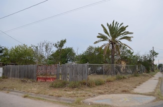 202 S Tapeyste Ave, Laredo, TX 78043