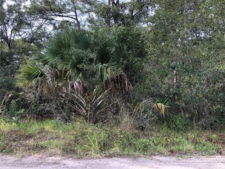 0 Arapaho Trail, Geneva, FL 32732