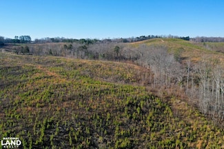 0 Corner Rd, Java, VA 24565