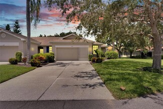 1015 Radison Lake Ct Unit 65, Sun City Center, FL 33573