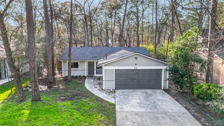33 Night Hawk Place, Spring, TX 77380
