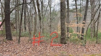 Lot 2 Reserve Trail, Stuart, VA 24171