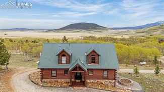 3418 High Creek Rd, Fairplay, CO 80440