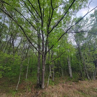 Lot 11 County Road A, Spooner, WI 54801