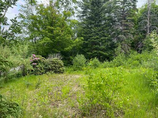165 Prospect St, Bristol, NH 03222