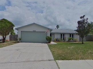 2821 Honey Bear Ct, Palm Harbor, FL 34684