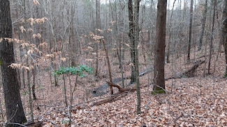 0 Woodland Church Rd Unit 22278923, Wake Forest, NC 27587