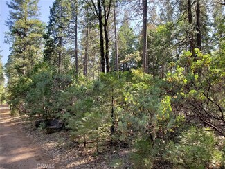 0 Nameco Rd Unit SN18145674, Forest Ranch, CA 95942