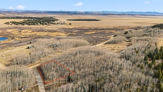 1097 High Creek Rd, Fairplay, CO 80440
