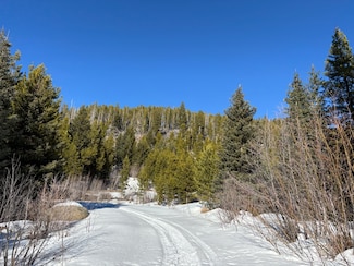121 Granite Rd, Philipsburg, MT 59858