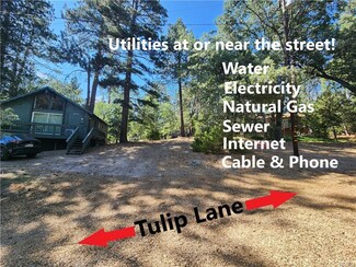 32754 Tulip Ln, Running Springs, CA 92382