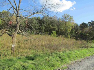 TBD Tickle Ln, Pearisburg, VA 24134
