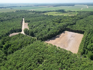 Highway 65, Eudora, AR 71640