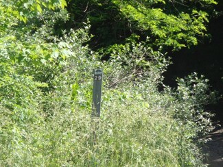 00 Burke Mountain Rd, Keystone, WV 24801