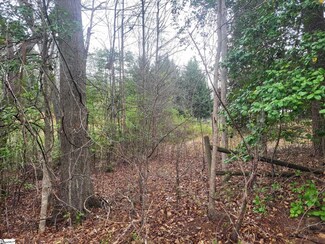31 Eula St, Taylors, SC 29609