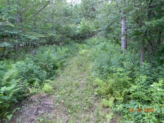 ON Burr Oak Rd, Kennan, WI 54537