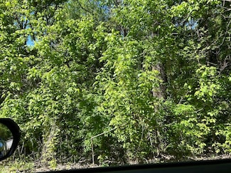 Lot 2 County Road 1123, Cullman, AL 35179