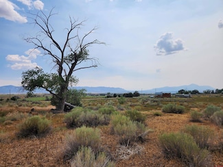 TBD Road P, Mancos, CO 81328