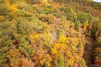 36 Lowland Glade Dr, Glenville, NC 28723