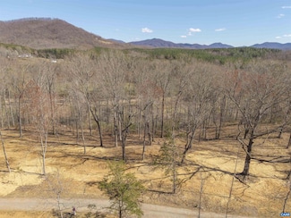 Lot 5 Rockfish Valley Hwy Unit 5, Afton, VA 22920