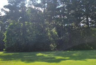 Lot 67 Atlantic St Unit 67, Atlantic, VA 23301