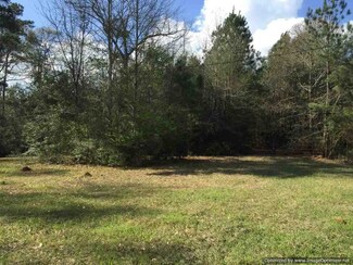 3115 Smiley Honea Rd, Magnolia, MS 39652