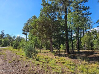 6964 Wagon Wheel Ln, Pinetop-Lakeside, AZ 85929