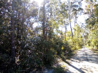 0 SE 65 Ave Unit MFRA4641880, Summerfield, FL 34491