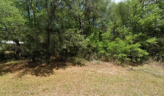 2781 W Mystery Ln, Citrus Springs, FL 34434