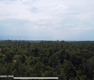 0 Edison Ave Unit 775325, Alford, FL 32420
