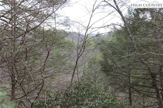 Lot 29 & 30 N Hidden Mountain Ln, Crumpler, NC 28617