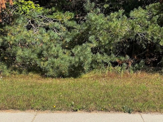 217 Berkshire Ln, Gaylord, MI 49735