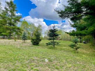 860 New York 420, Brasher Falls-Winthrop, NY