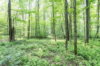 0 Stanley Campbell Rd, Delhi, NY 13753