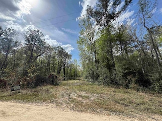 TBD County Road 3143, Buna, TX 77612
