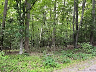 Lot 115 Hickory Rd, Lancaster, VA 22503
