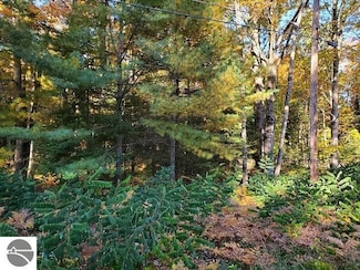 0 Scenic River Dr Unit 22-23 1933506, Alger, MI 48610