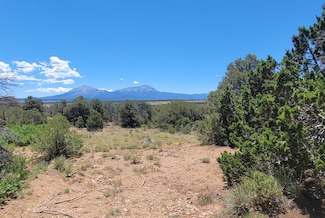 0 Chickasaw Dr Unit 110 24-724, Walsenburg, CO 81089