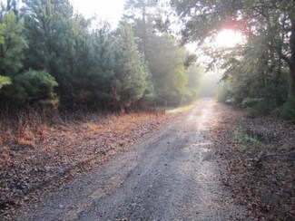45 Mtd Dr, Nettleton, MS 38858
