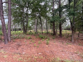 2 N 4140 Rd, Antlers, OK 74523
