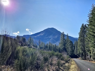 0 King Rd E Unit 154043130, McKenzie Bridge, OR 97413
