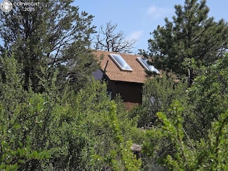 480 Kevin Dr, Cotopaxi, CO 81223