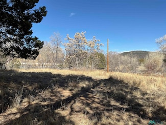 9 Placer St, Silver City, NM 88061