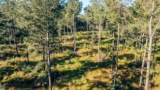 TBD Terrell's Bay Rd, Centenary, SC 29519