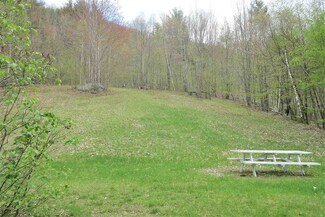 174 Nelson Rd, Cuttingsville, VT 05738